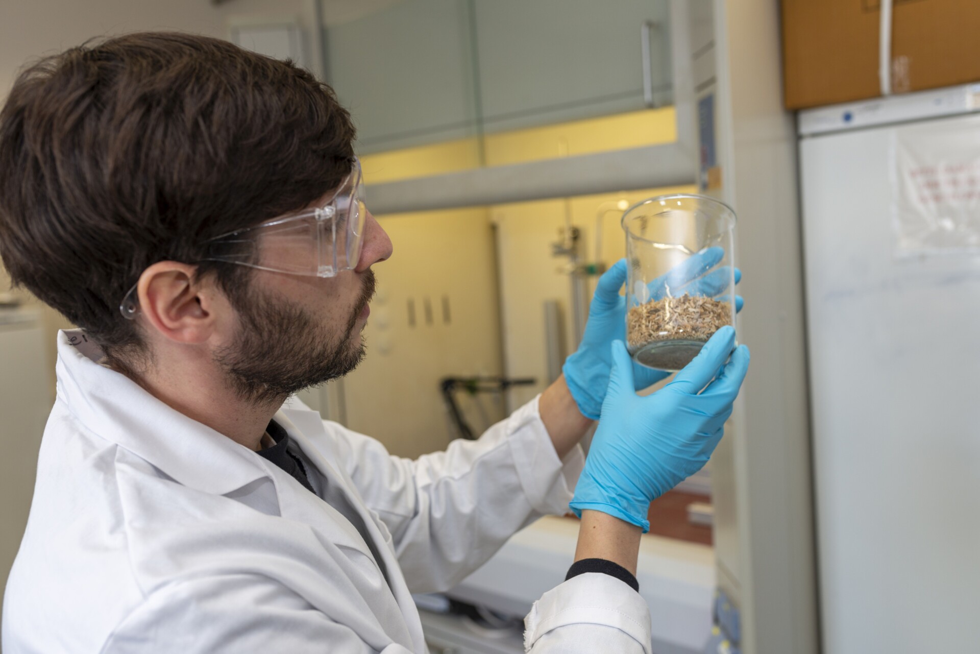 Arbeiten im Biokraftstofftechnikum, ein Wissenschaftler betrachtet ein Glas mit Pellets